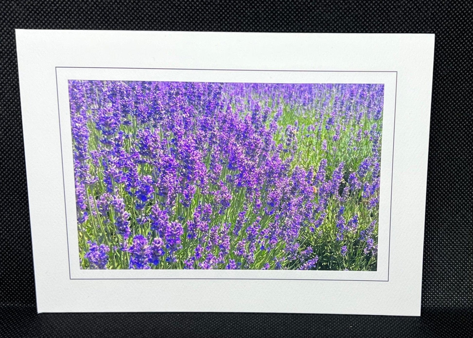 Lavender Field - Light a Fire Gallery